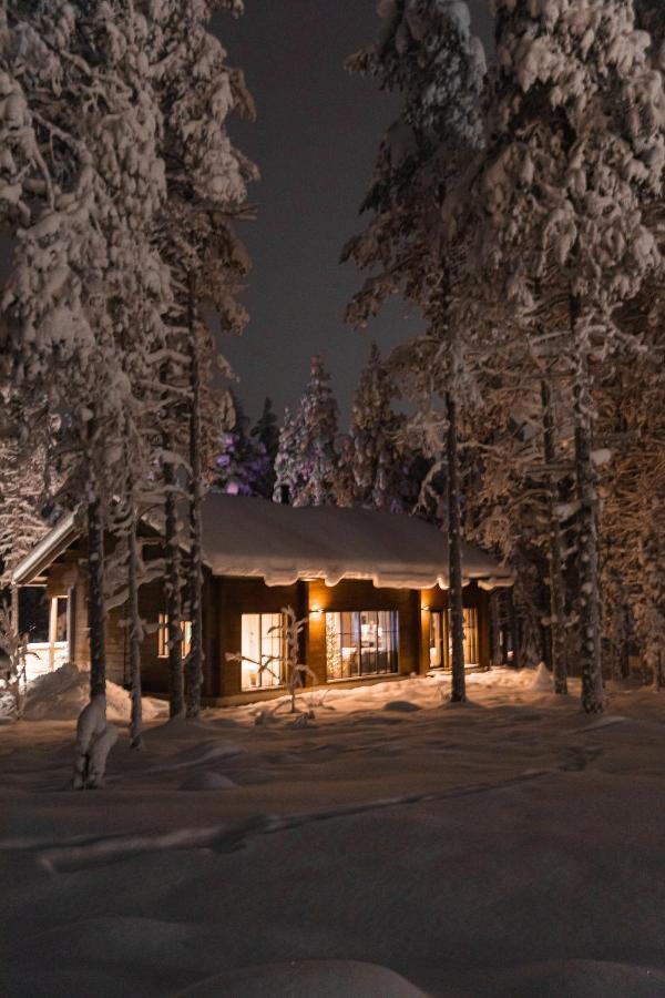 Raanakka House - Premium Villa At Levi Exteriör bild
