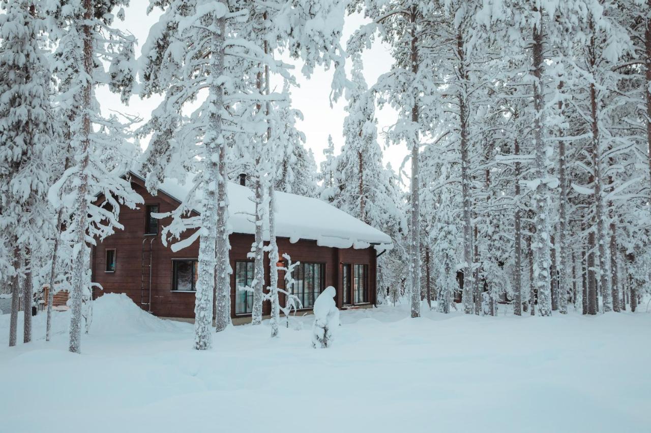 Raanakka House - Premium Villa At Levi Exteriör bild